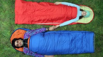 Shark vs Eagle image